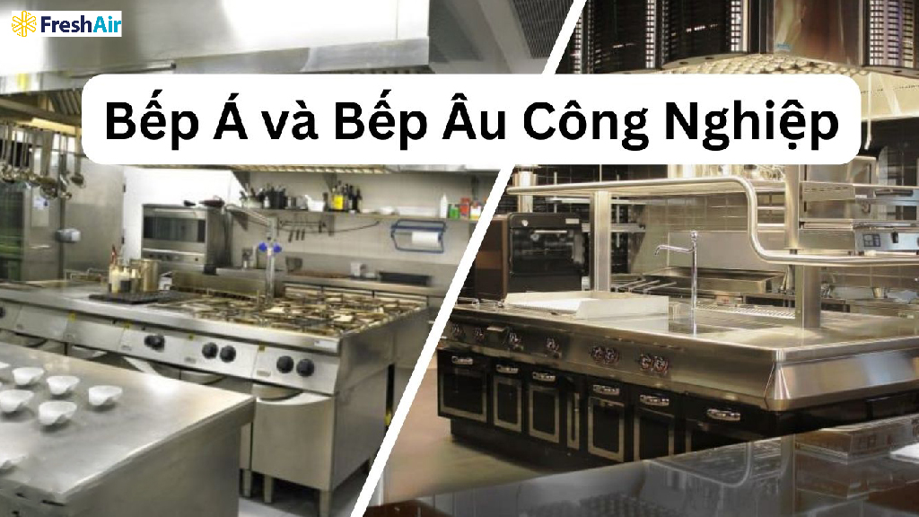 Mỗi loại sẽ có những ưu nhược điểm riêng cũng như công năng riêng Mỗi loại sẽ có những ưu nhược điểm riêng cũng như công năng riêng