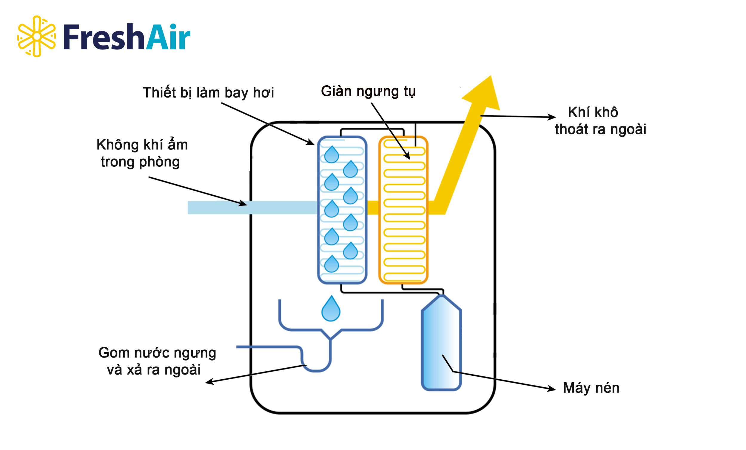 Công dụng của máy hút ẩm là hút không khí ẩm, vậy nên nguyên lý hoạt động cũng tương đối đơn giản, chứa công cụ để hút không khí ẩm, lọc và làm không khí khô trở lại Công dụng của máy hút ẩm là hút không khí ẩm, vậy nên nguyên lý hoạt động cũng tương đối đơn giản, chứa công cụ để hút không khí ẩm, lọc và làm không khí khô trở lại