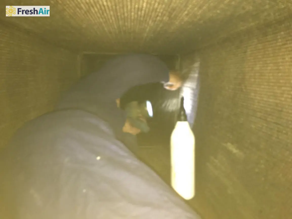 Hướng dẫn lựa chọn dịch vụ vệ sinh hệ thống hút khói chuyên nghiệp và lịch trình vệ sinh phù hợp