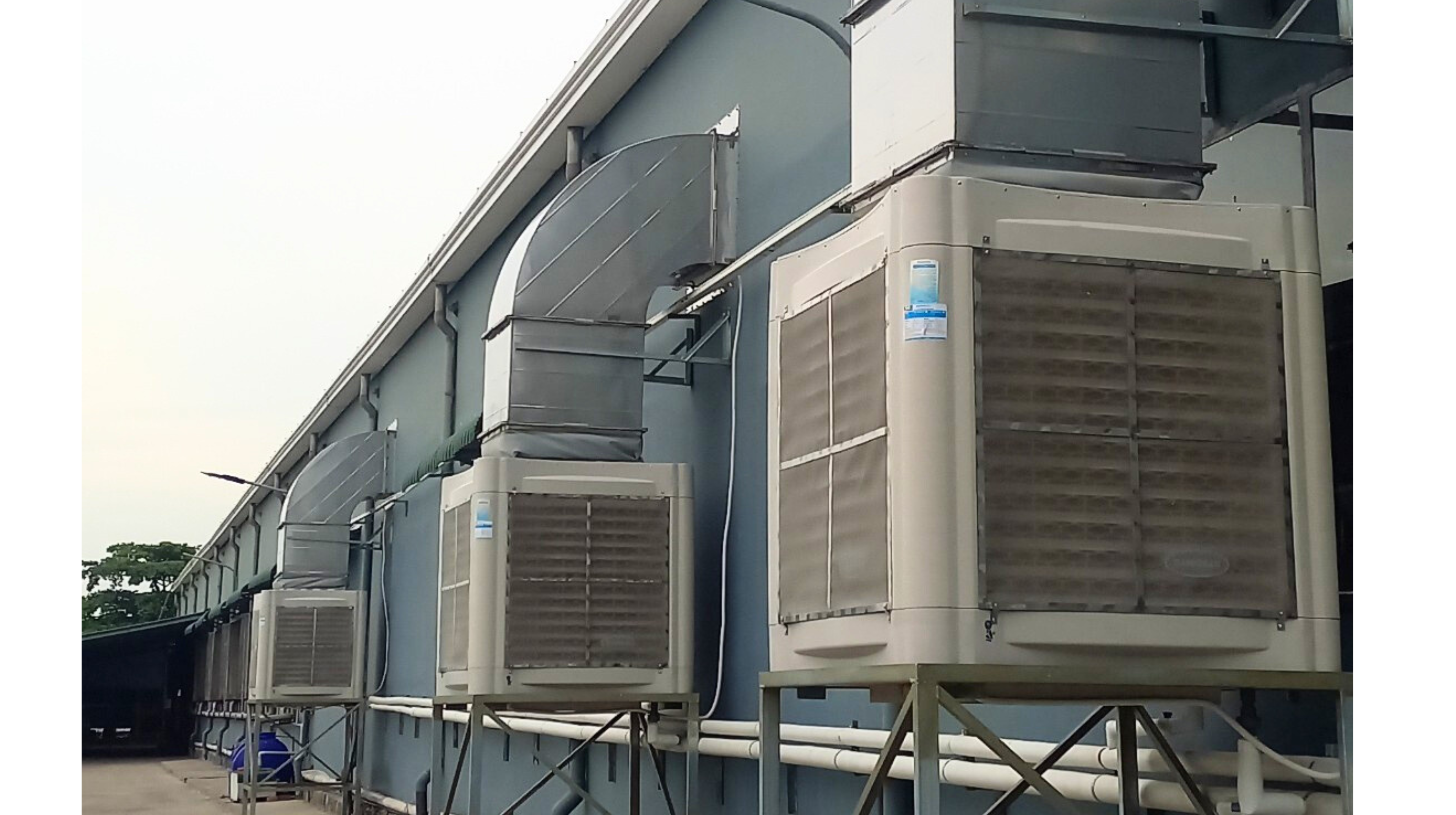 Hệ Thống Làm Mát Công Ty May Tối Ưu Hiệu Quả - Fresh Air